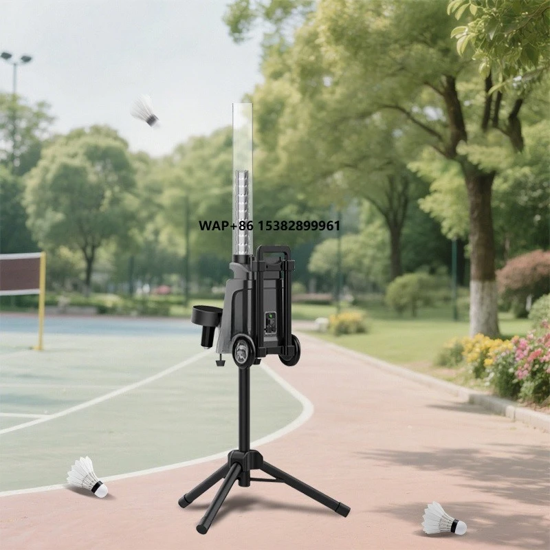 2025 New Design Shuttlecock Fe - Sports Equipment Training review and price